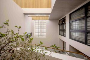 Skylight : Natural light to central Pocket Garden บ้านประหยัดพลังงาน
